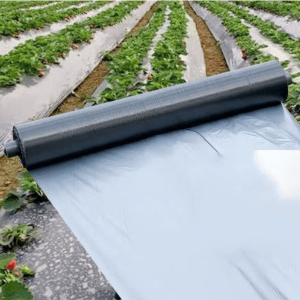 Compostable Agricultural Mulch Film