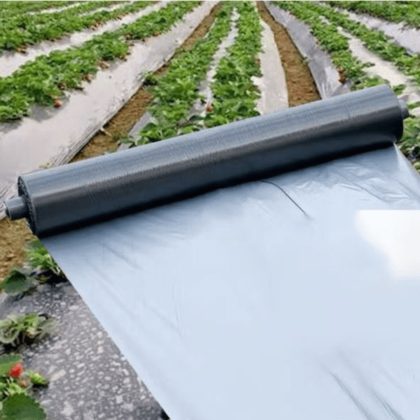 Compostable Agricultural Mulch Film